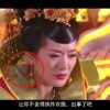 摇头摆尾的生肖是什么
